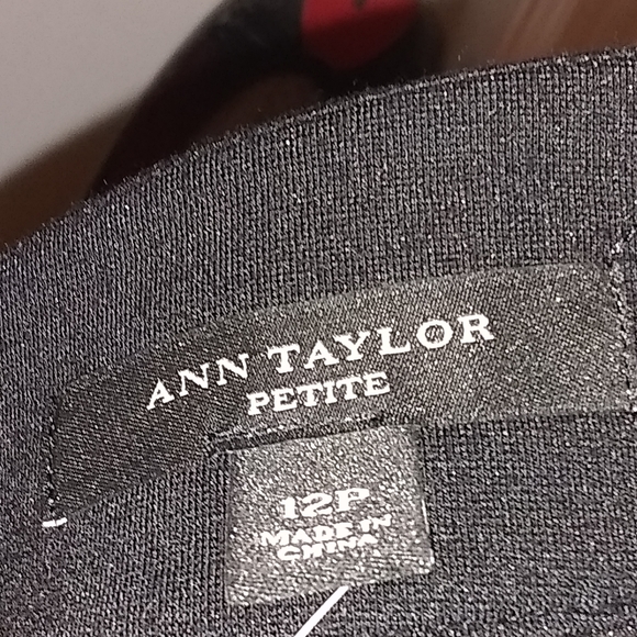 Ann Taylor Mini Skirt - Picture 4 of 4